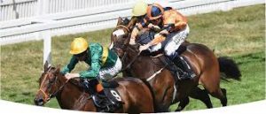 Ashadihan chases home Illuminate in the Albany Stakes