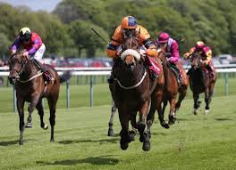 Ashadihan wins her Maiden on debut at Haydock