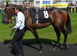 In the parade ring before his debut
