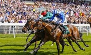 Winning at York, his second career win