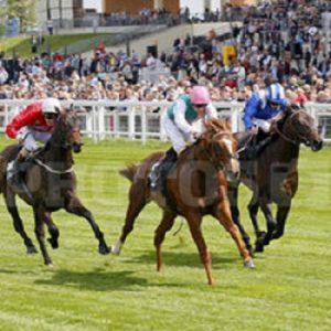 Finishing a close 2nd at Ascot