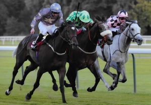 Kajaki battling hard to earn his first career win