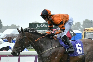 Mount Tahan getting back to winning ways in the rain