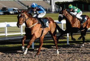 Flaming Spear Back To Winning Ways With A Brave Victory