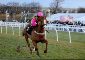 Beyond The Clouds Wining In Emphatic Fashion On His First Career Start